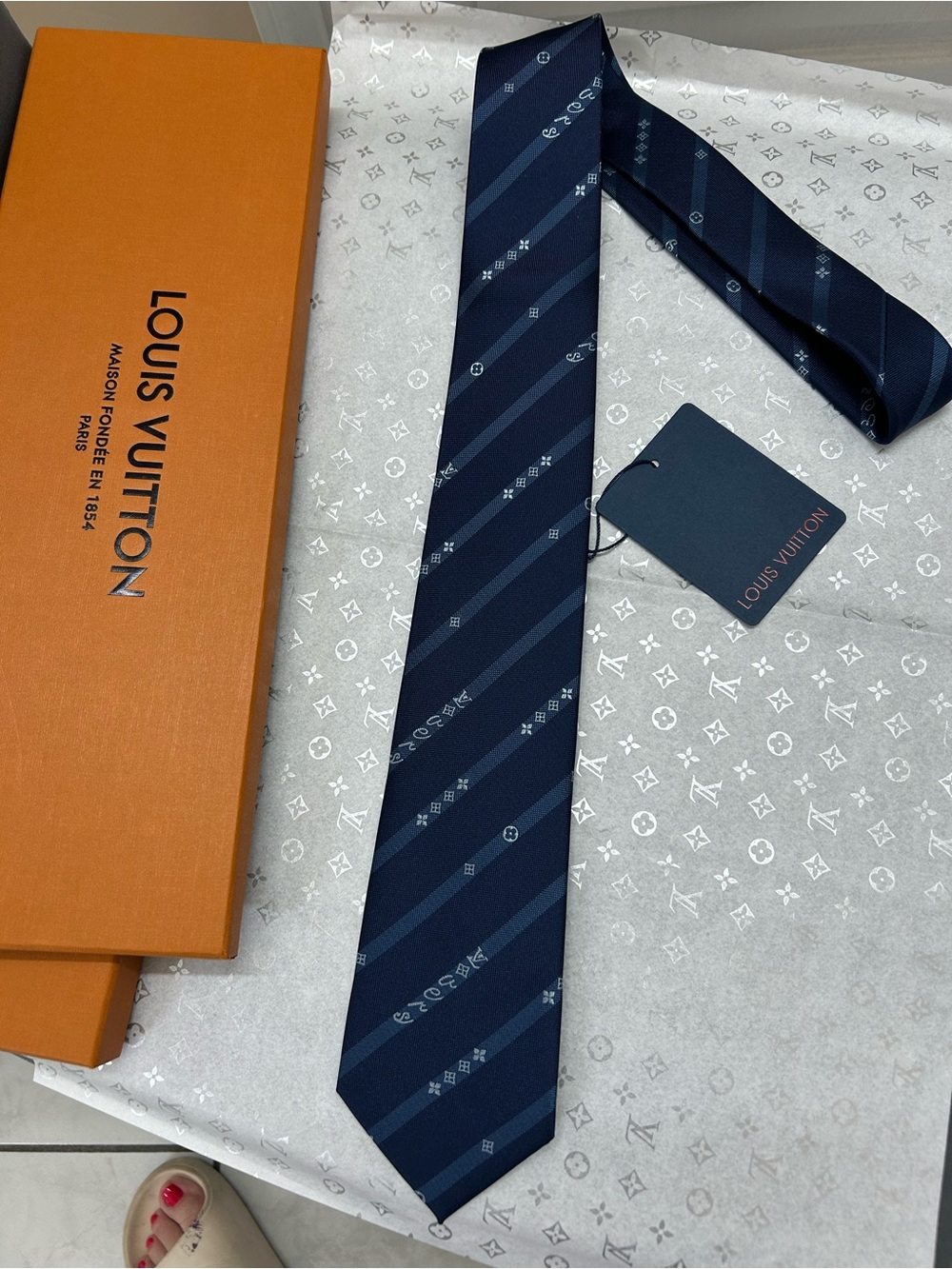 Louis Vuitton Navy and Dark Blue Monogram Diagonal Silk Tie